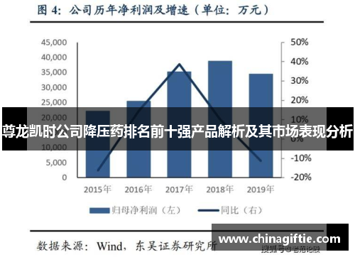 尊龙凯时公司降压药排名前十强产品解析及其市场表现分析