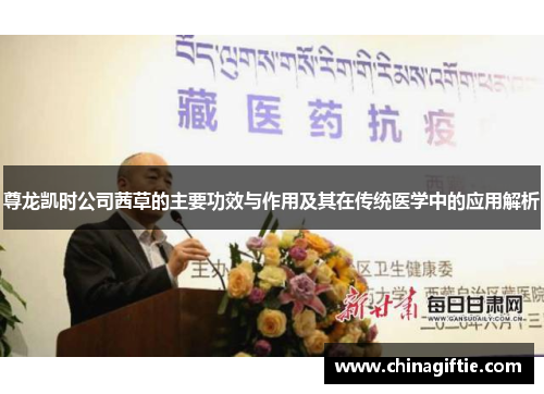 尊龙凯时公司茜草的主要功效与作用及其在传统医学中的应用解析