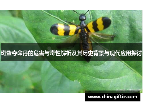 斑蝥夺命丹的危害与毒性解析及其历史背景与现代应用探讨