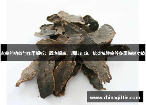玄参的功效与作用解析：清热解毒、润肺止咳、抗炎抗肿瘤等多重保健功能