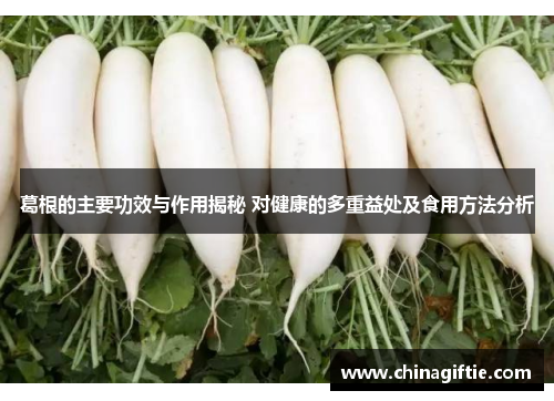 葛根的主要功效与作用揭秘 对健康的多重益处及食用方法分析