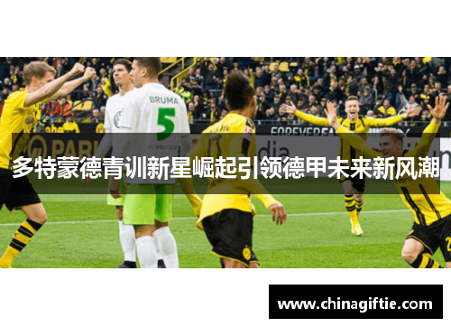 多特蒙德青训新星崛起引领德甲未来新风潮