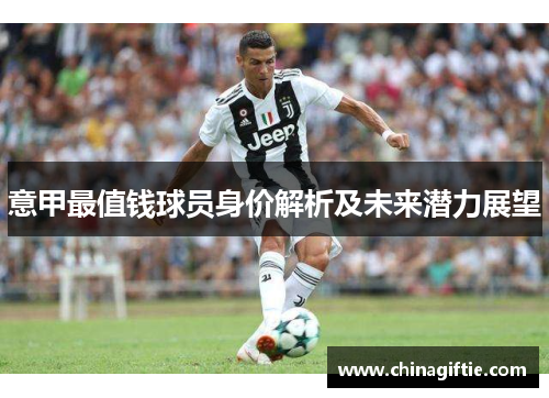 意甲最值钱球员身价解析及未来潜力展望
